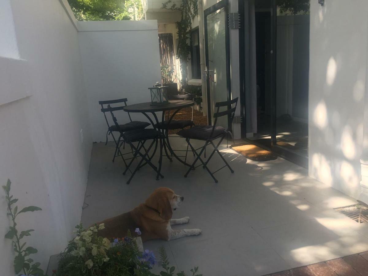 Table Mountain Guest Cottage With Private Garden Ciudad del Cabo Exterior foto
